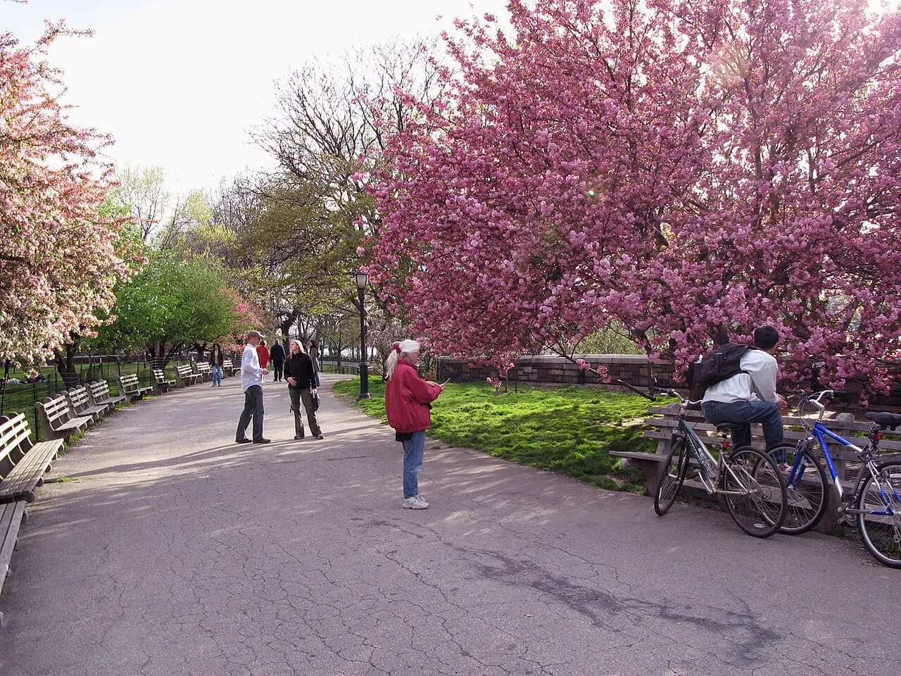 Archival photograph of Riverside Park, New York (2007)