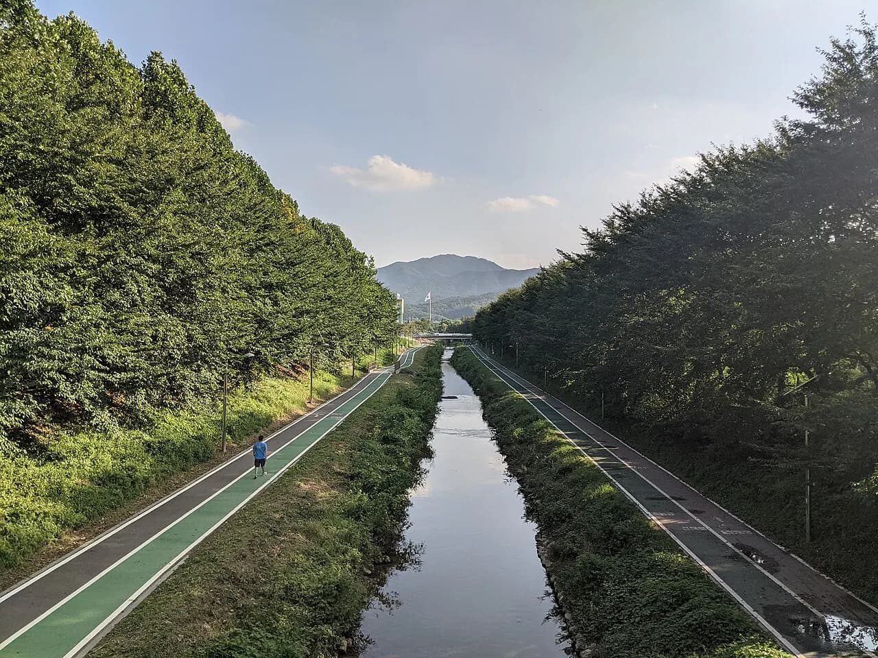 시민의숲의 기록 사진