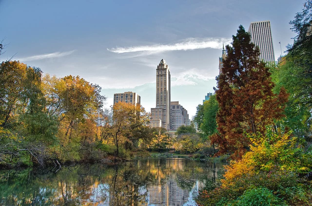 Archival photograph of Central Park, New York (2009)