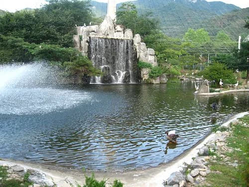서울대공원의 기록 사진