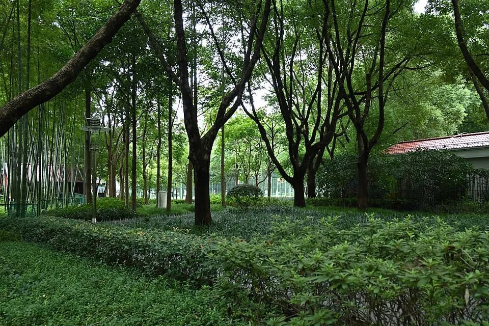 徐家汇公园的资料照片