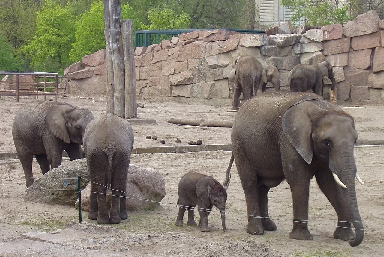 Archival photograph of Tierpark Berlin, Berlin (2006)