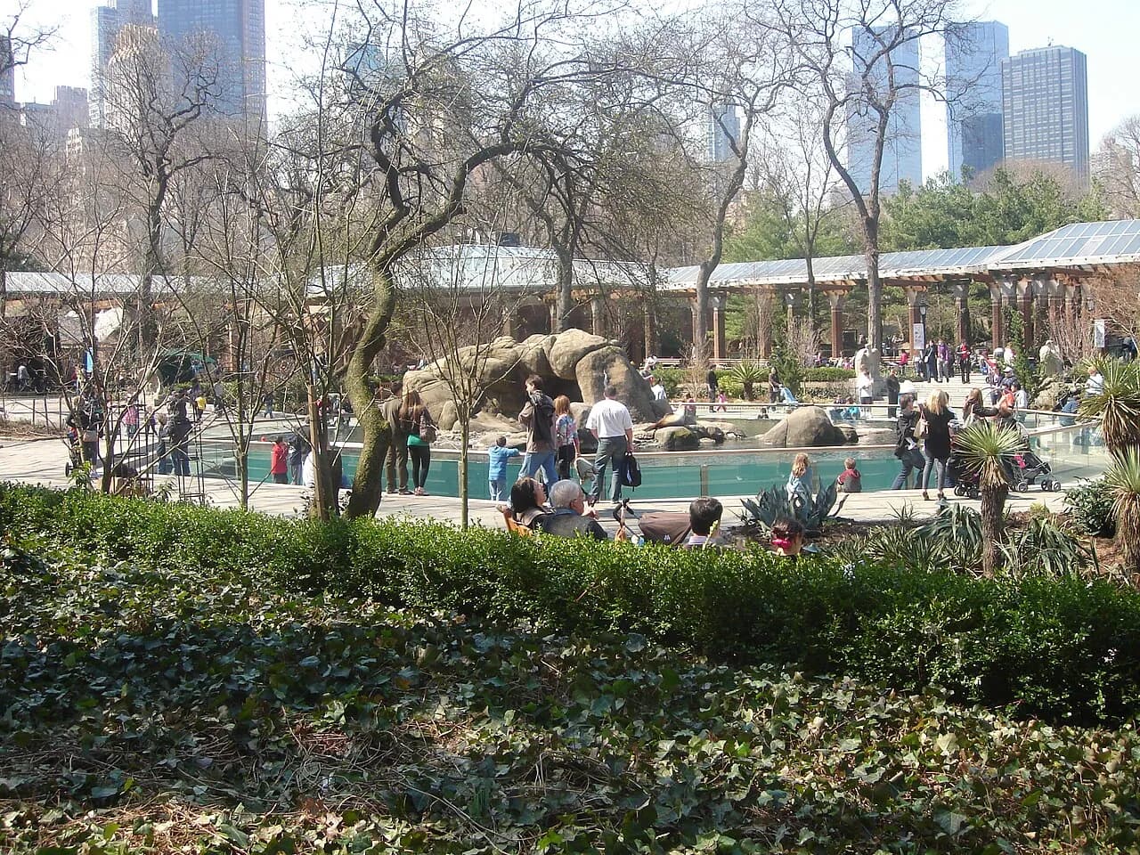 Archival photograph of Central Park Zoo, New York (2010)