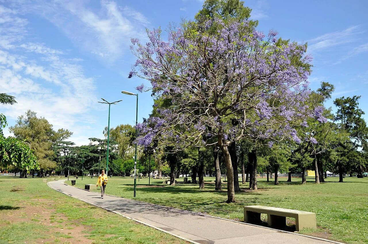 Fotografía de archivo: Parque Saavedra