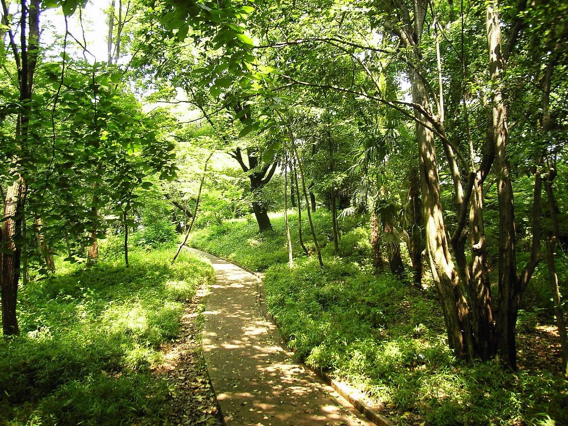 Archival photograph of Toyama Park, Tokyo (2005)