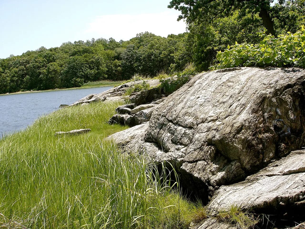 Archival photograph of Pelham Bay Park, New York (2006)