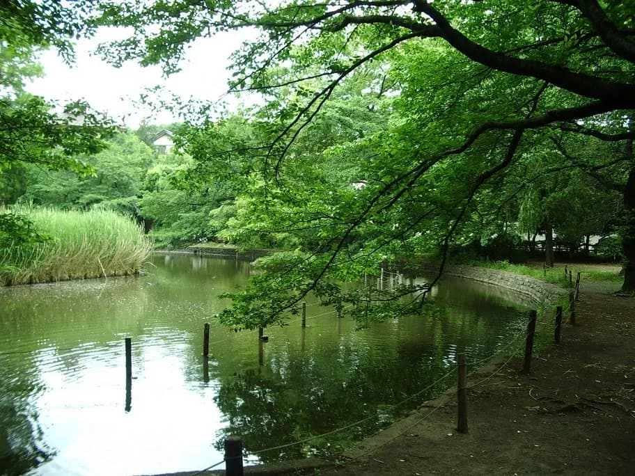 Archival photograph of Zenpukuji Park, Tokyo (2008)