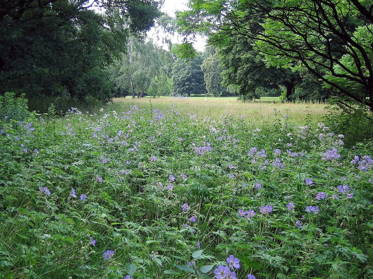 Archivaufnahme: Großer Tiergarten