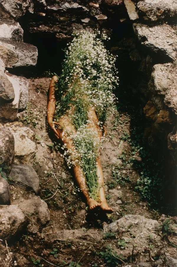 Ana Mendieta’s 1973 Silueta image with a flower-covered figure in an outdoor recess.