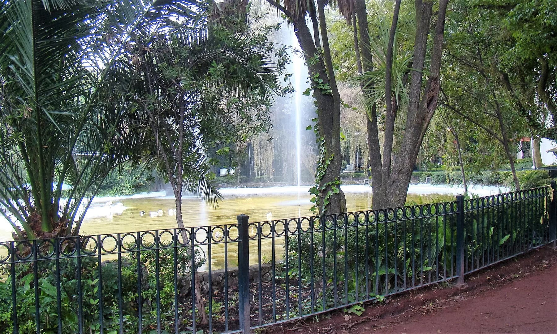 Fuente y árboles del Parque México, fotografiados en septiembre de 2016