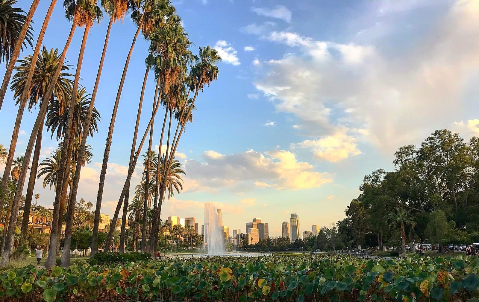 Lotus flowers, Echo Park Lake and the Los Angeles skyline in July 2019