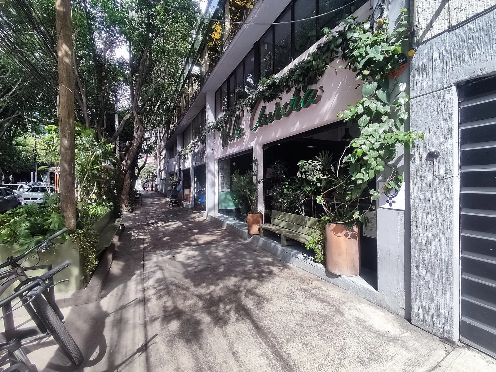 Fachada rosa y entrada con plantas de Bella Aurora en la calle Puebla de la Roma Norte, fotografiadas en 2025