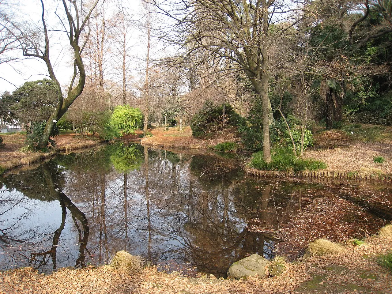 Archival photograph of Koishikawa Botanical Garden, Tokyo (2008)