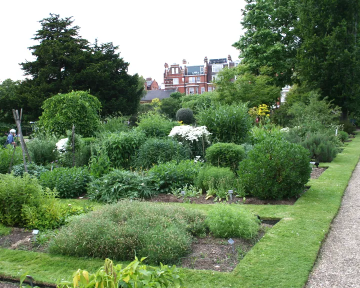 Archival photograph of Chelsea Physic Garden, London 