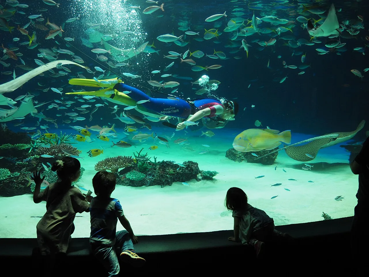 Archival photograph of Sunshine Aquarium, Tokyo (2017)