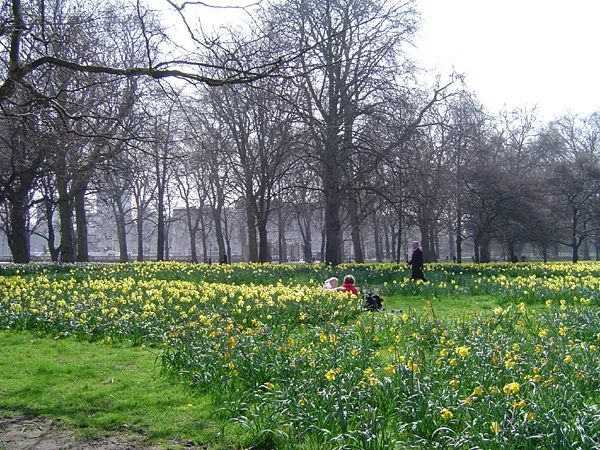 Archival photograph of Green Park, London (2005)