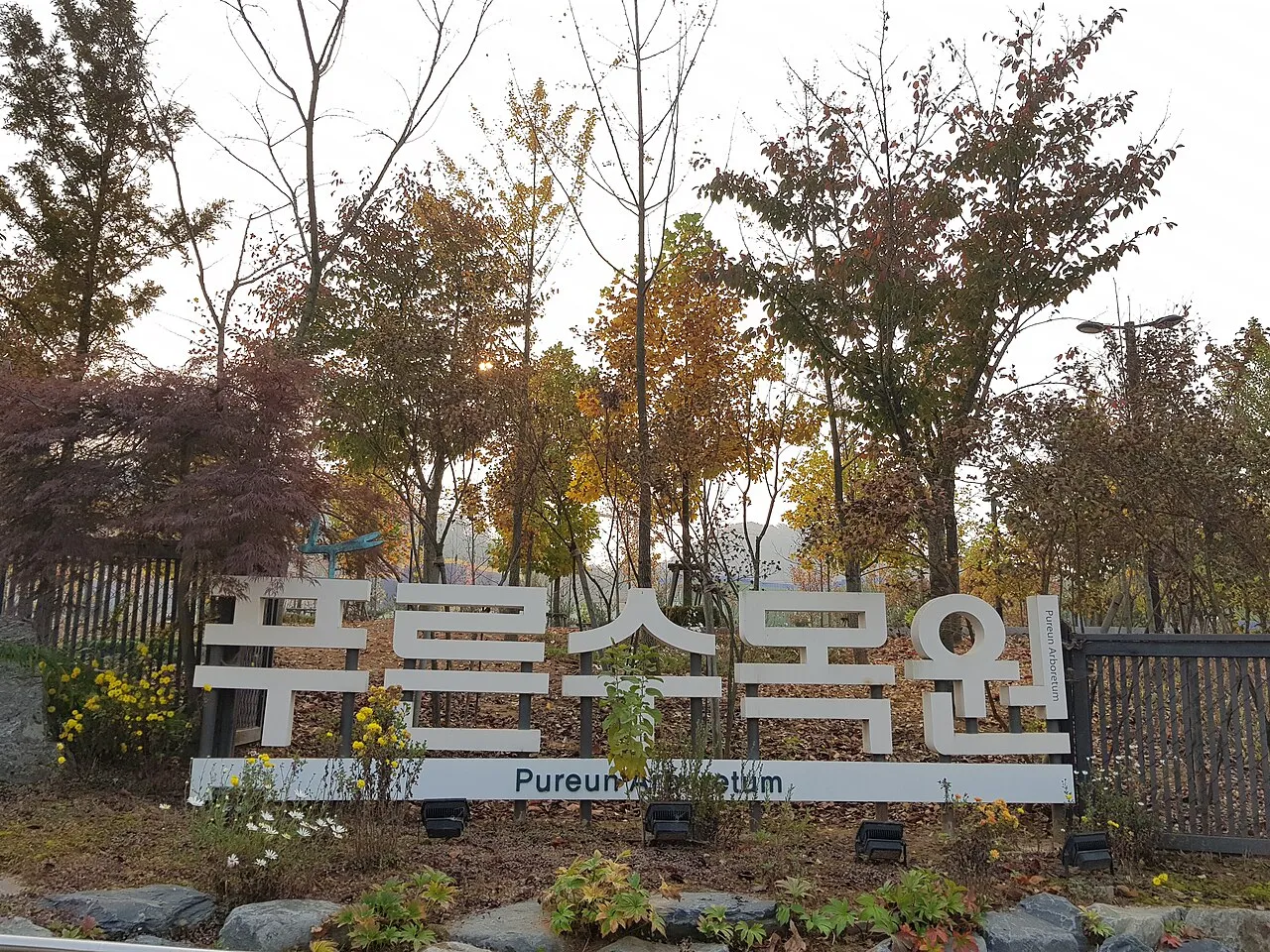 Archival photograph of Pureun Arboretum, Seoul (2017)