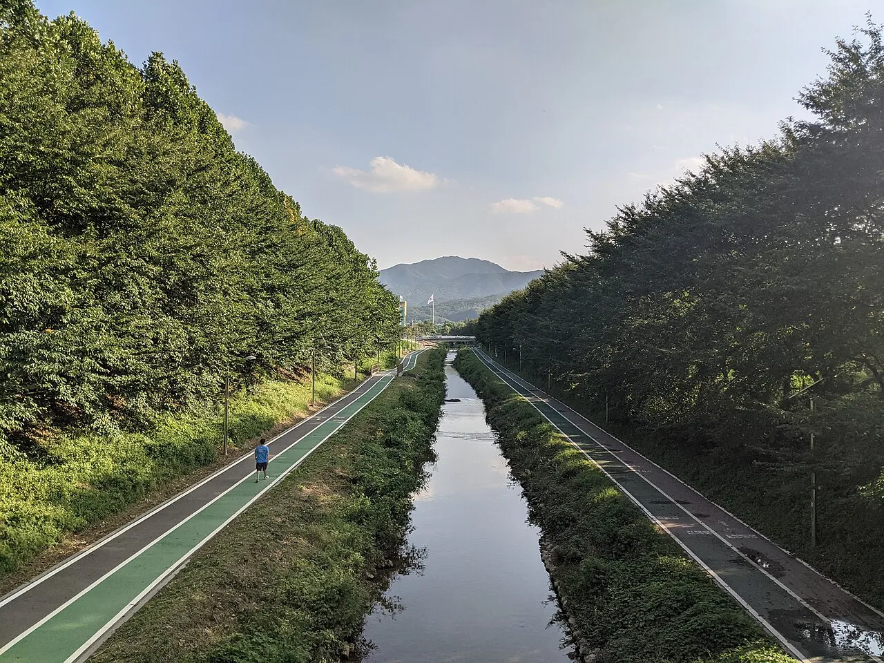 Archival photograph of Maeheon Citizen's Forest, Seoul (2021)