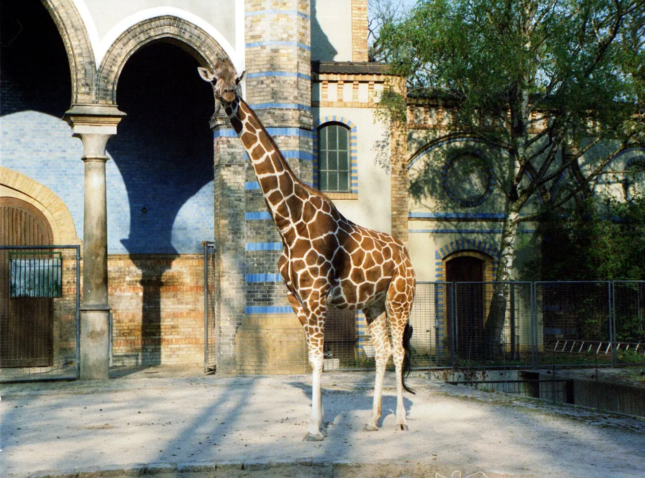 Archivaufnahme: Zoologischer Garten Berlin