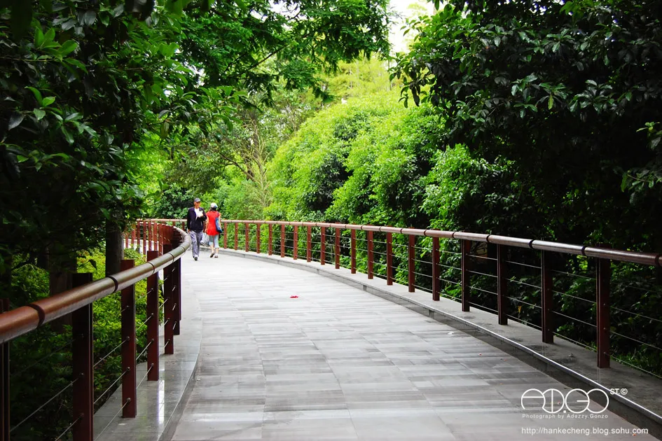 Archival photograph of Gucheng Park, Shanghai (2009)