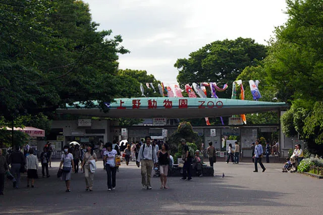 Archival photograph of Ueno Zoo, Tokyo (2012)