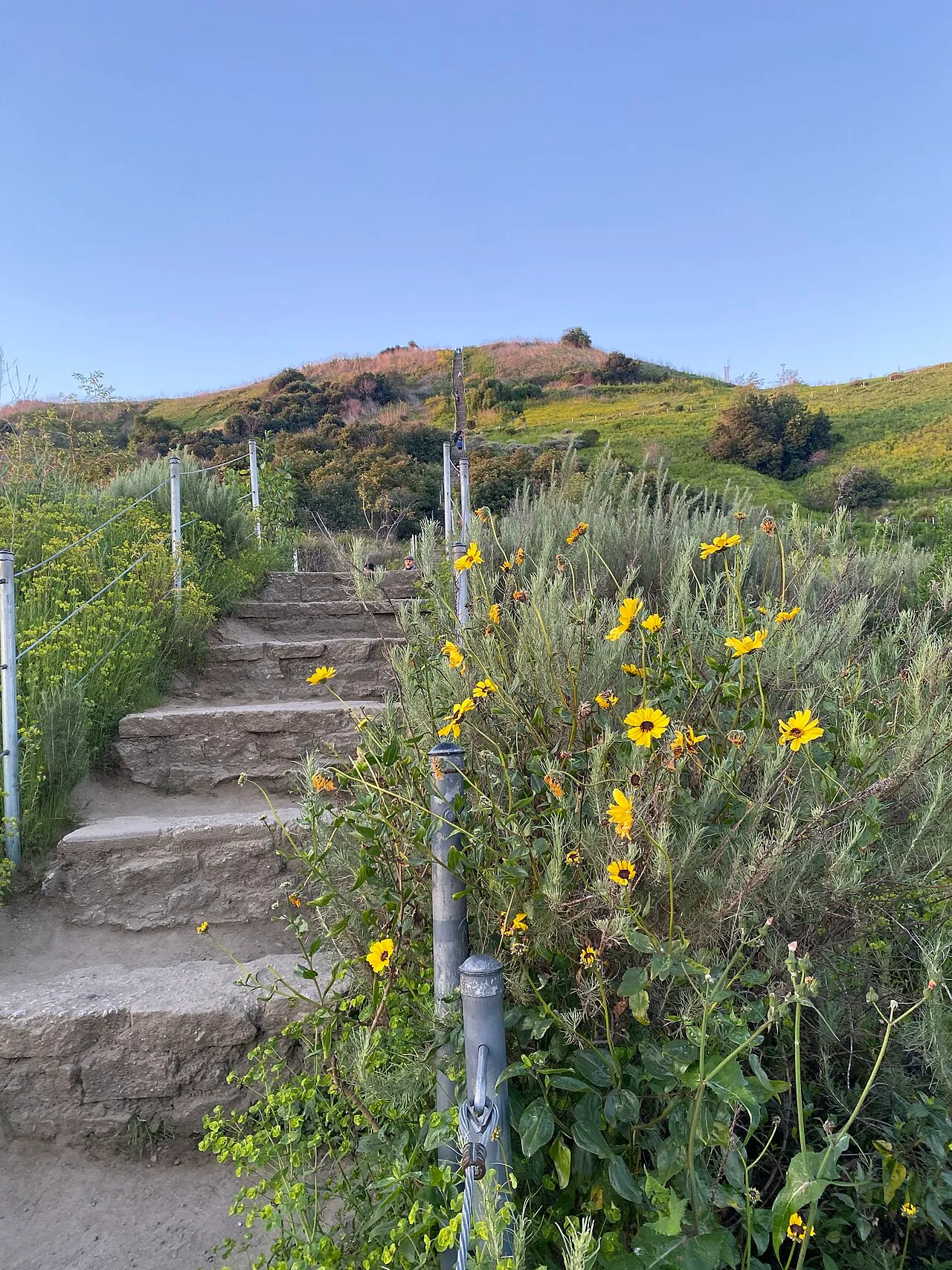 Archival photograph of Baldwin Hills Scenic Overlook, Los Angeles (2024)