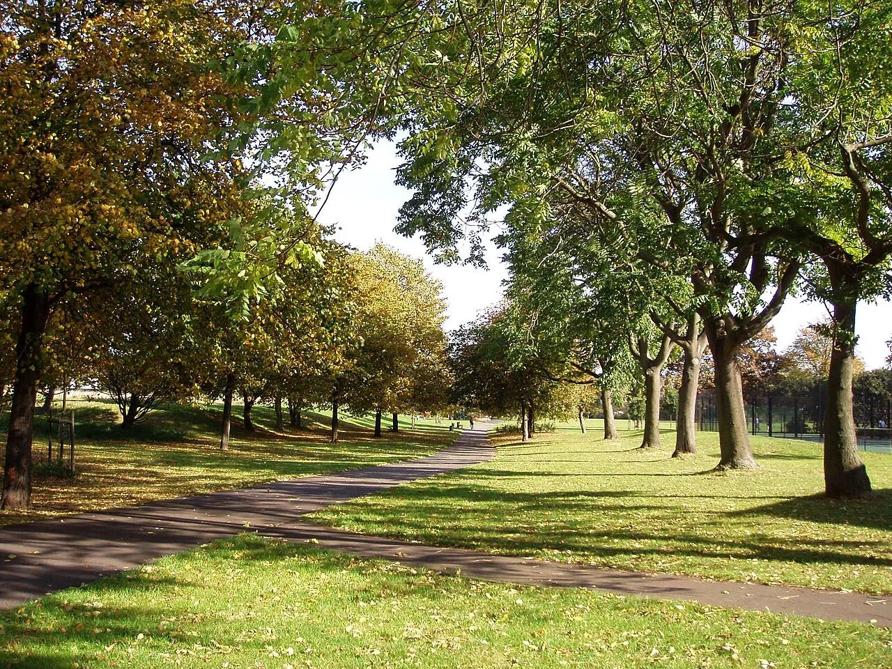 Archival photograph of Burgess Park, London (2008)