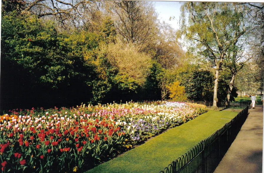 Archival photograph of St James’s Park, London 
