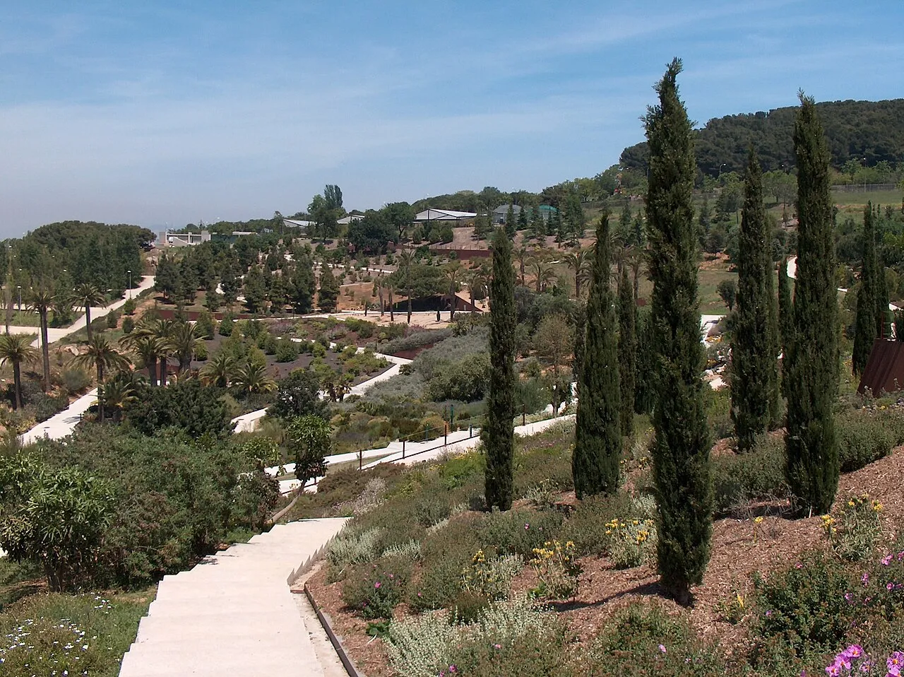 Archival photograph of Jardí Botànic de Barcelona, Barcelona (2005)