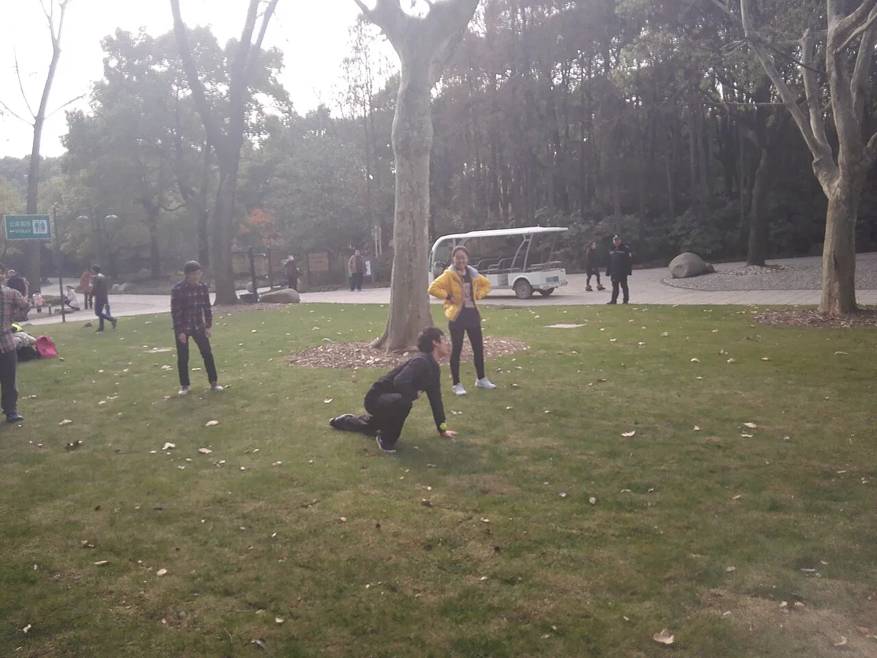 Archival photograph of Gongqing Forest Park, Shanghai (2015)