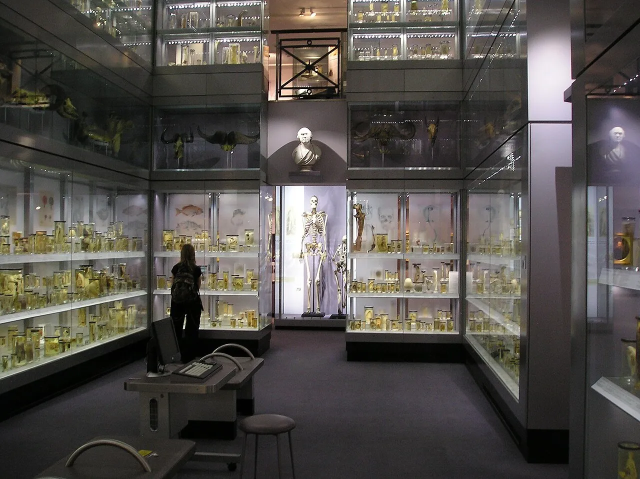 Archival photograph of Hunterian Museum, London 