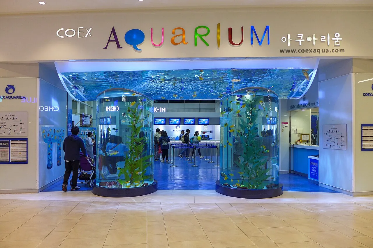 Archival photograph of COEX Aquarium, Seoul (2016)