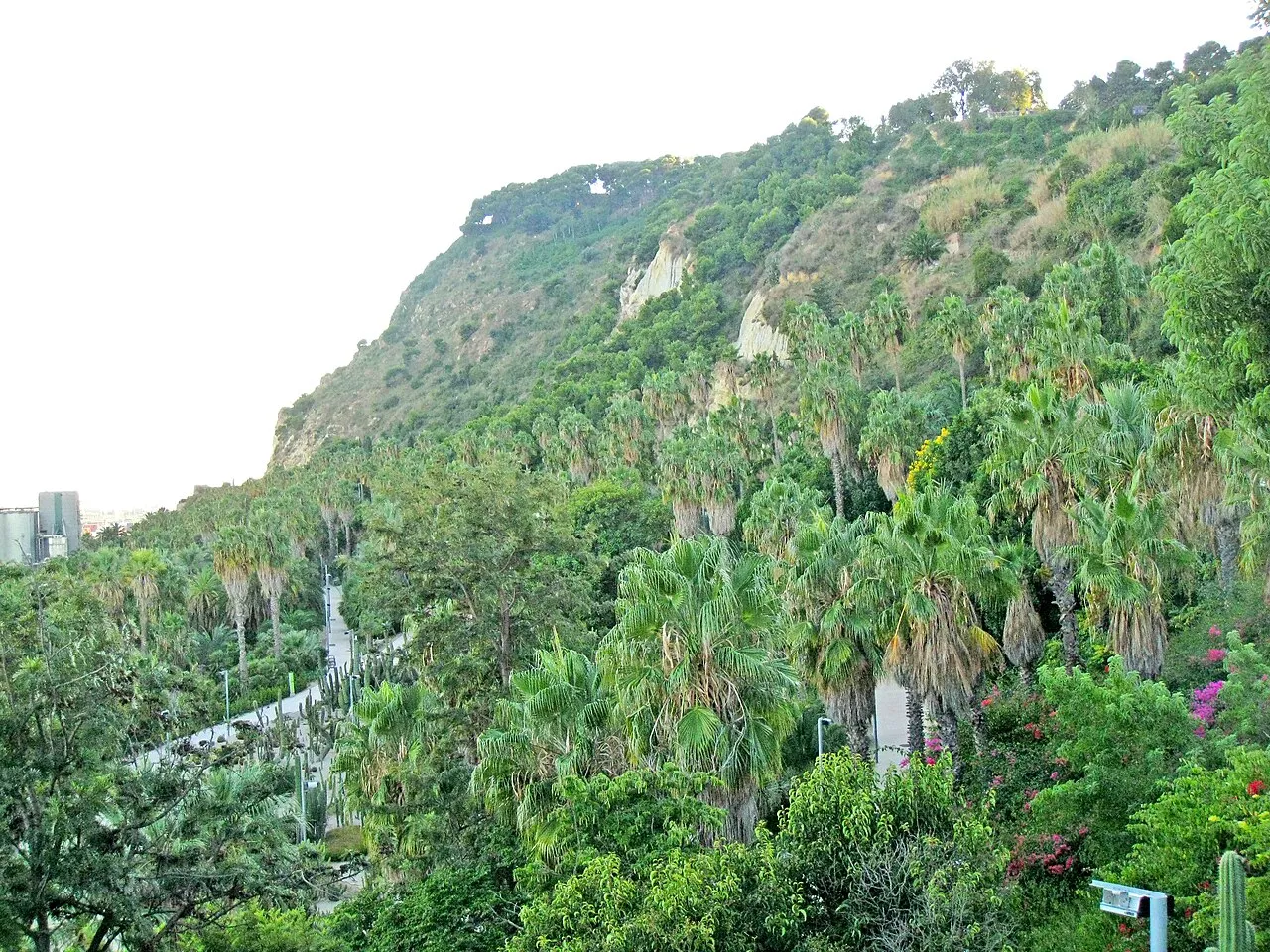 Archival photograph of Jardins de Mossèn Costa i Llobera, Barcelona (2011)