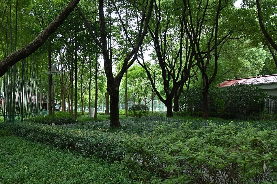 Archival photograph of Xujiahui Park, Shanghai (2023)
