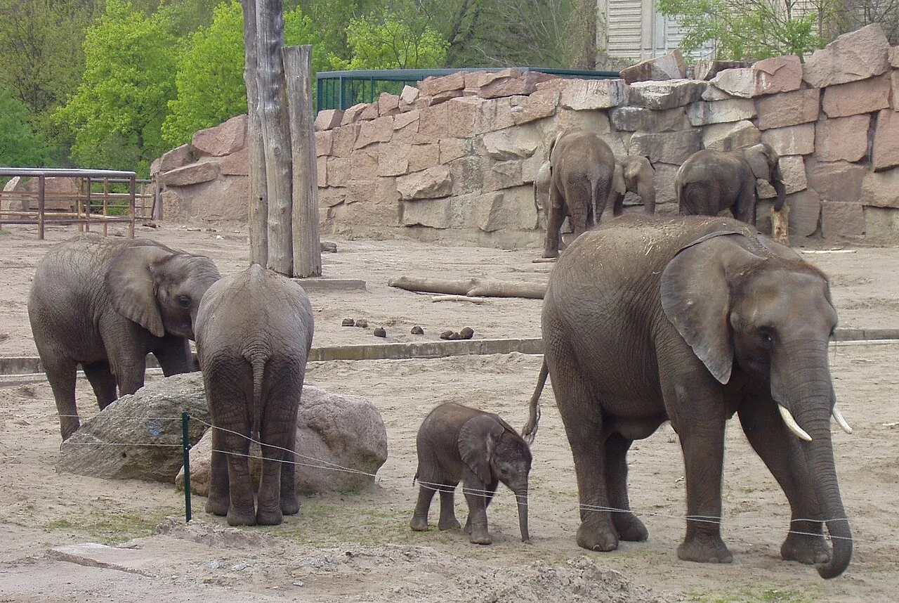 Archivaufnahme: Tierpark Berlin