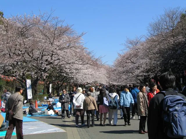 Archival photograph of Ueno Park, Tokyo 