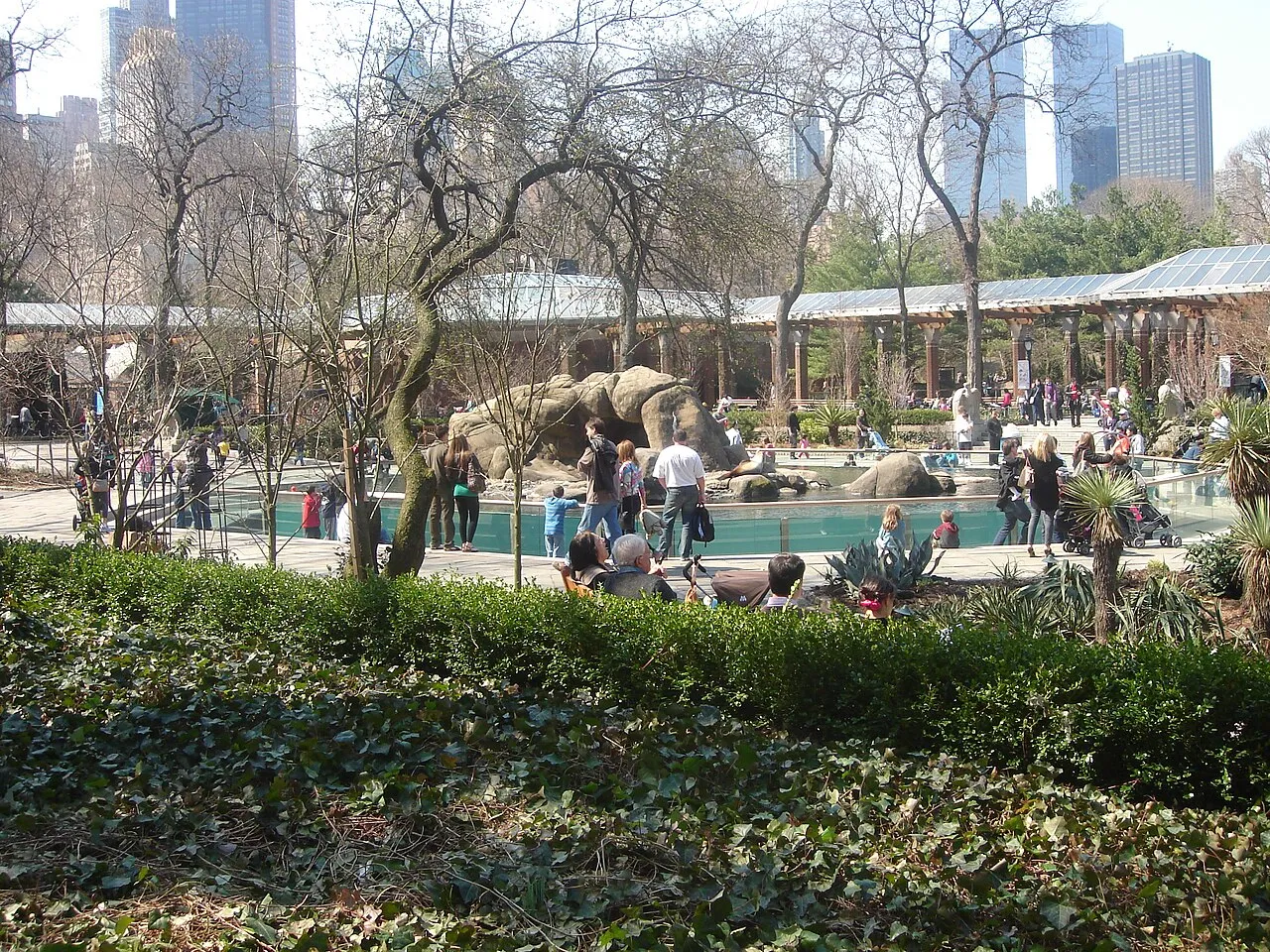 Archival photograph of Central Park Zoo, New York (2010)