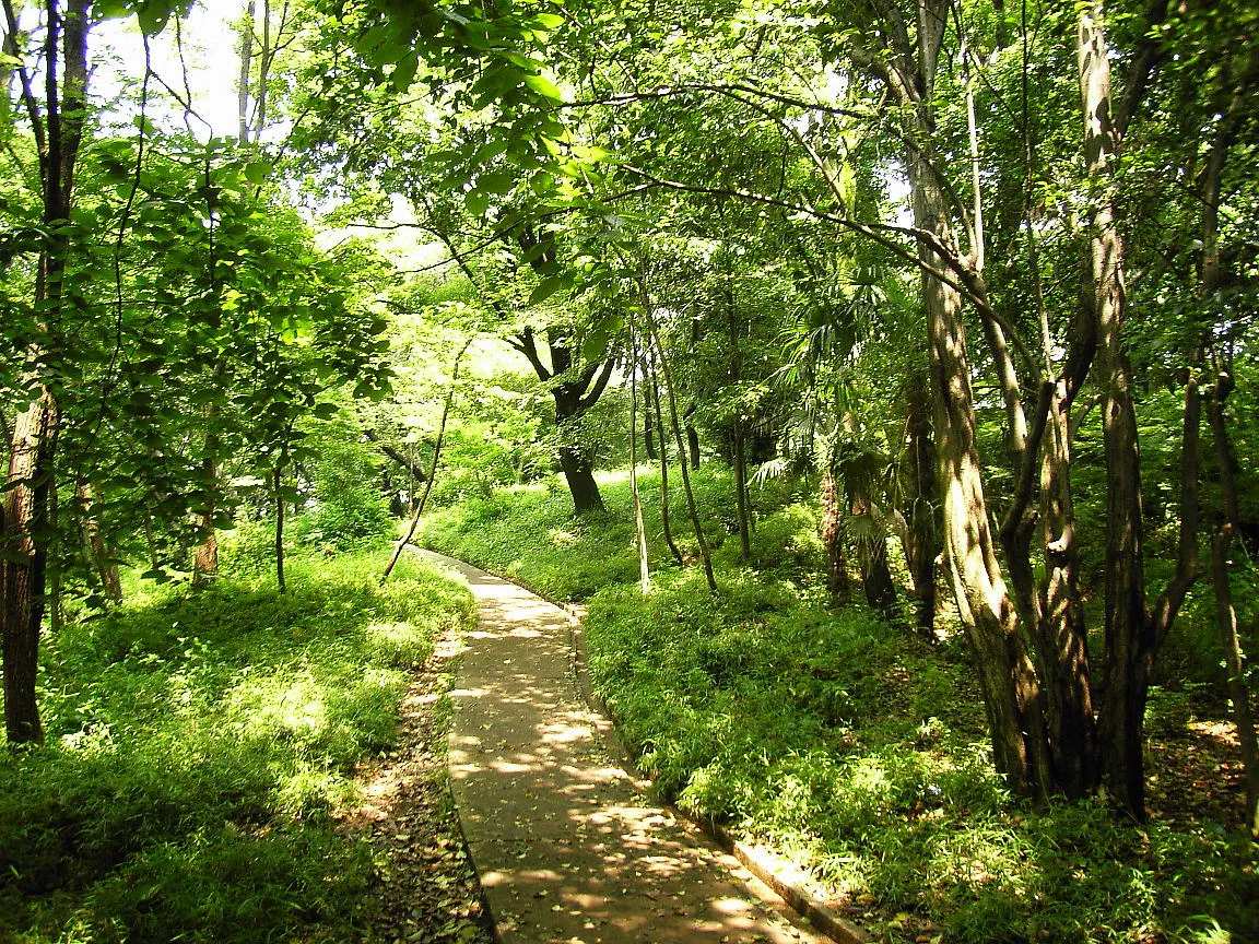 Archival photograph of Toyama Park, Tokyo (2005)