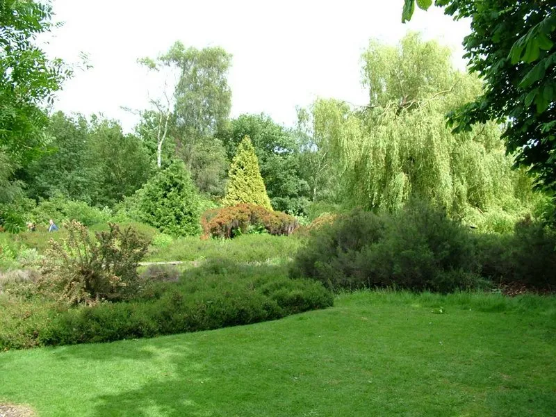 Archival photograph of Richmond Park, London (2006)