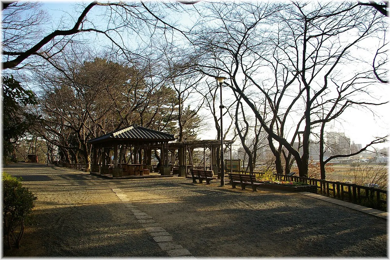 Archival photograph of Tamagawadai Park, Tokyo (2008)
