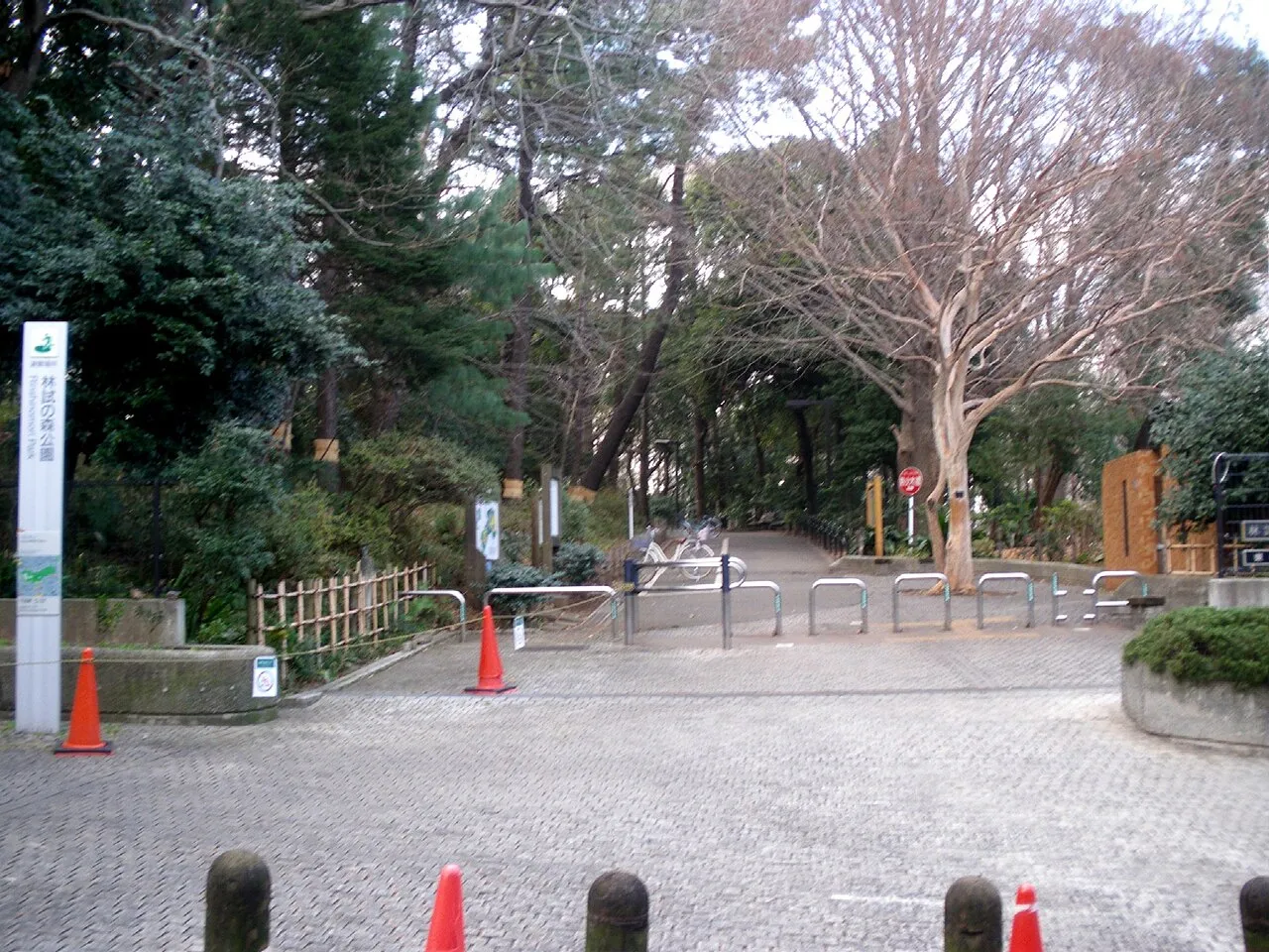 Archival photograph of Rinshi-no-mori Park, Tokyo (2009)