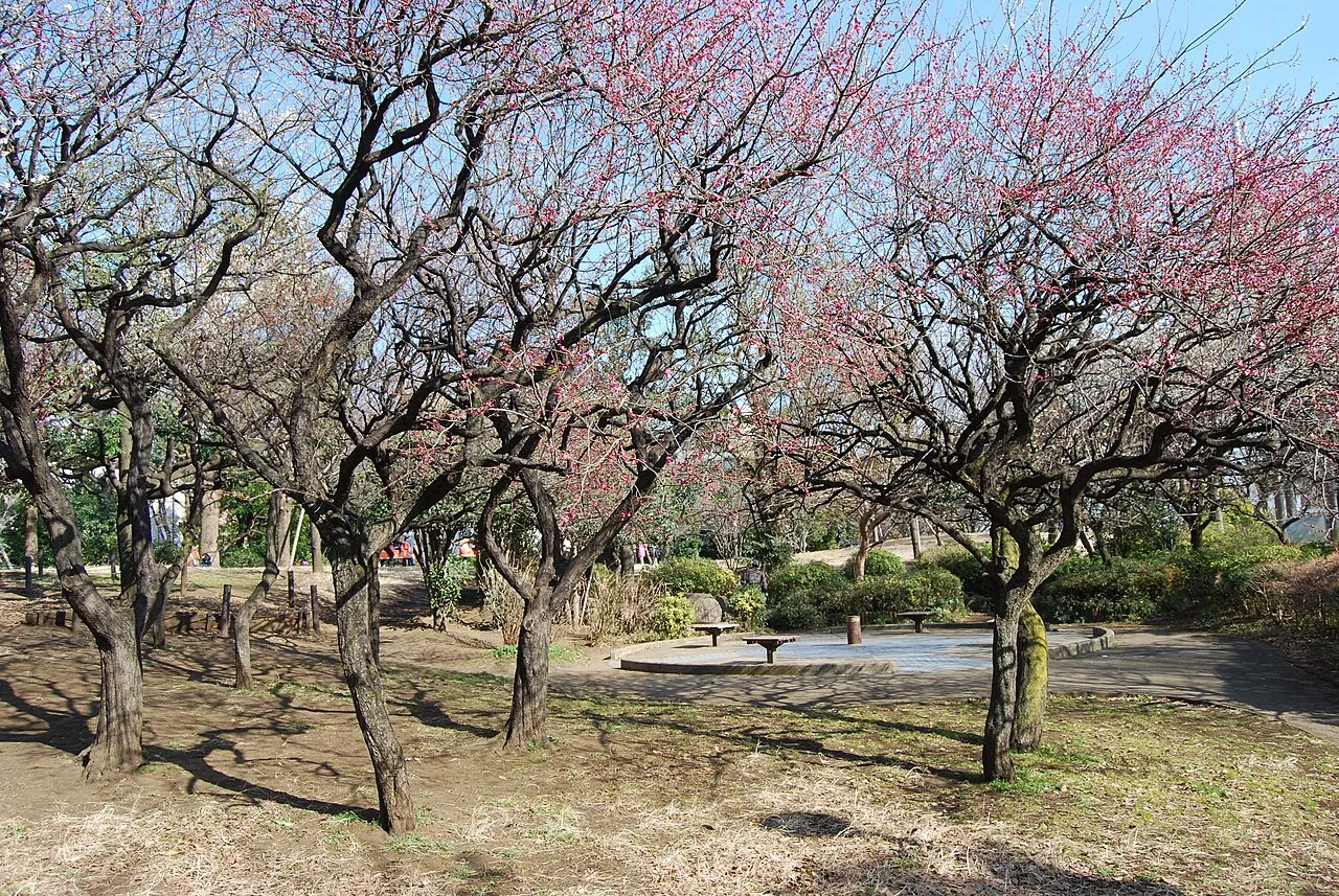 Archival photograph of Saigōyama Park, Tokyo (2013)