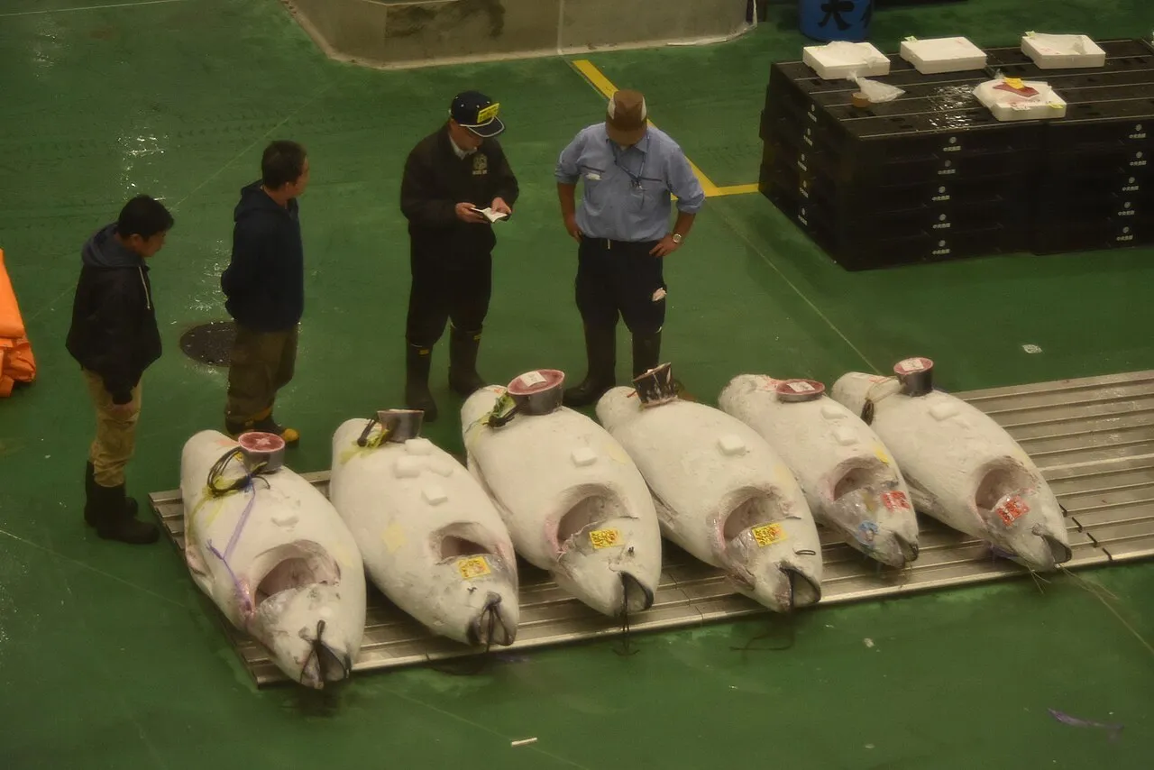 Archival photograph of Toyosu Market, Tokyo (2018)