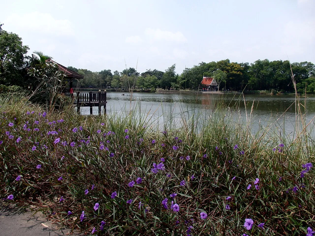 Archival photograph of Sri Nakhon Khuean Khan Park, Bangkok (2016)