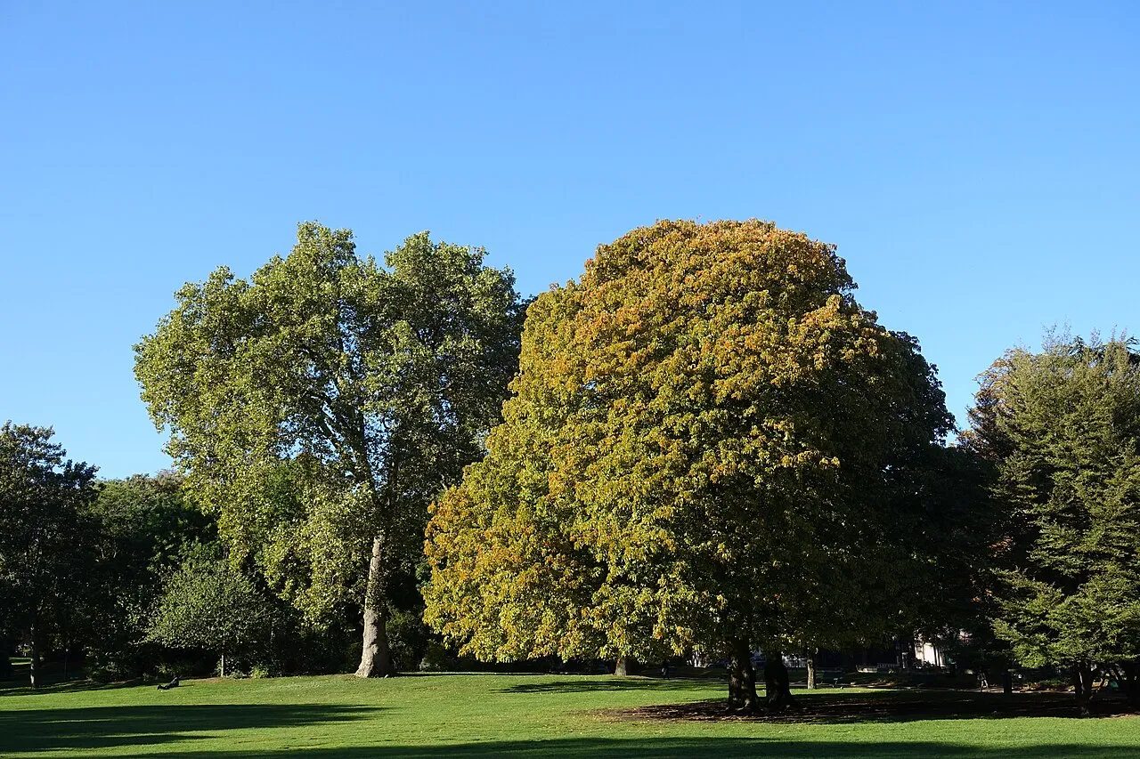Photographie d’archive : Parc Montsouris, Paris (2016)