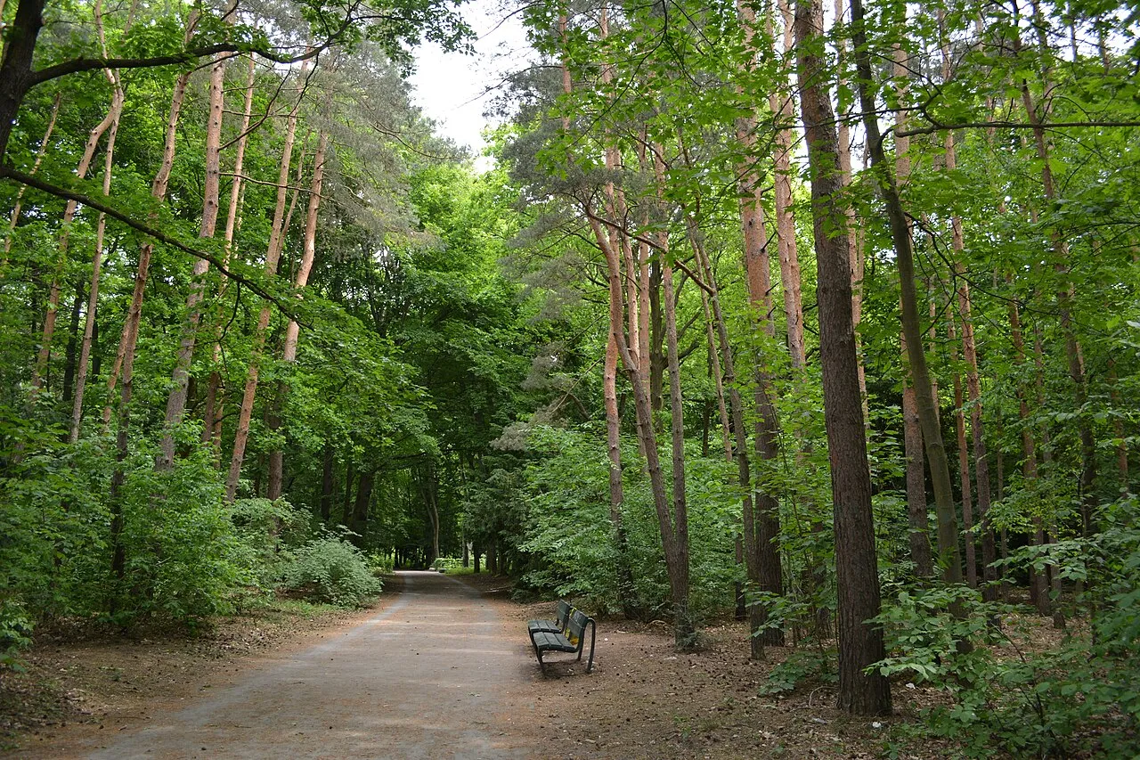 Archivaufnahme: Volkspark Jungfernheide