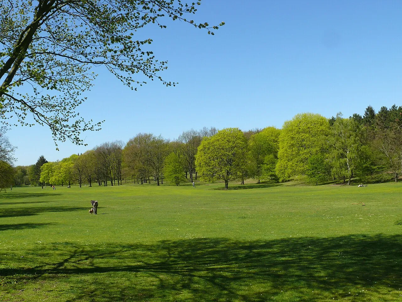 Archivaufnahme: Volkspark Rehberge