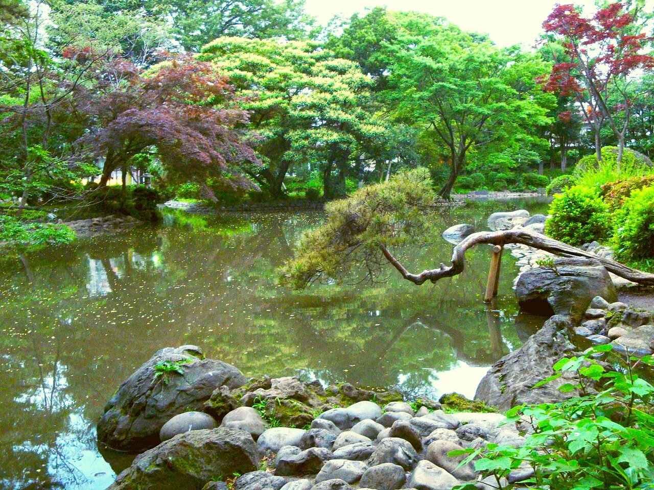 Archival photograph of Arisugawa-no-miya Memorial Park, Tokyo (2011)