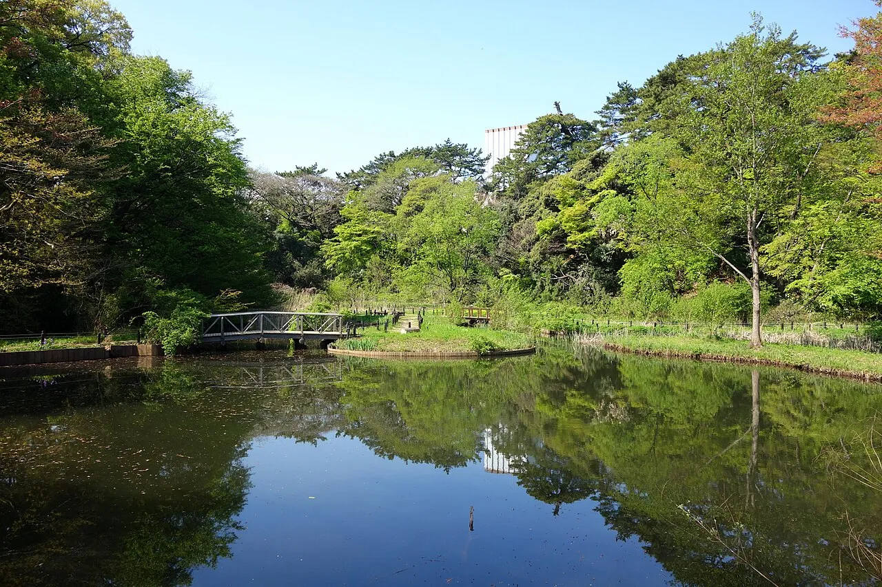 Archival photograph of Institute for Nature Study, Tokyo (2014)