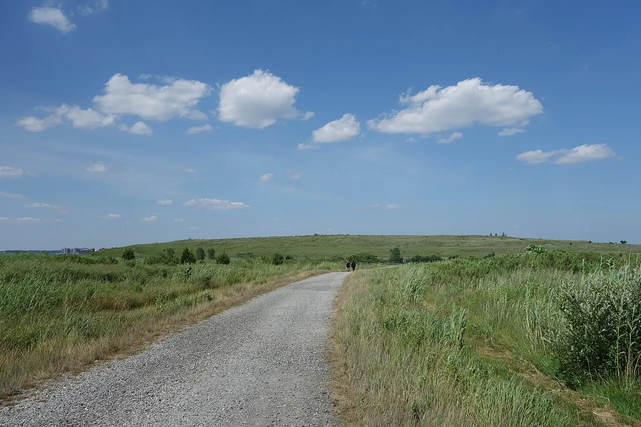 Archival photograph of Shirley Chisholm State Park, New York (2019)